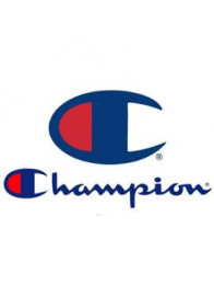 champion products europe ltd